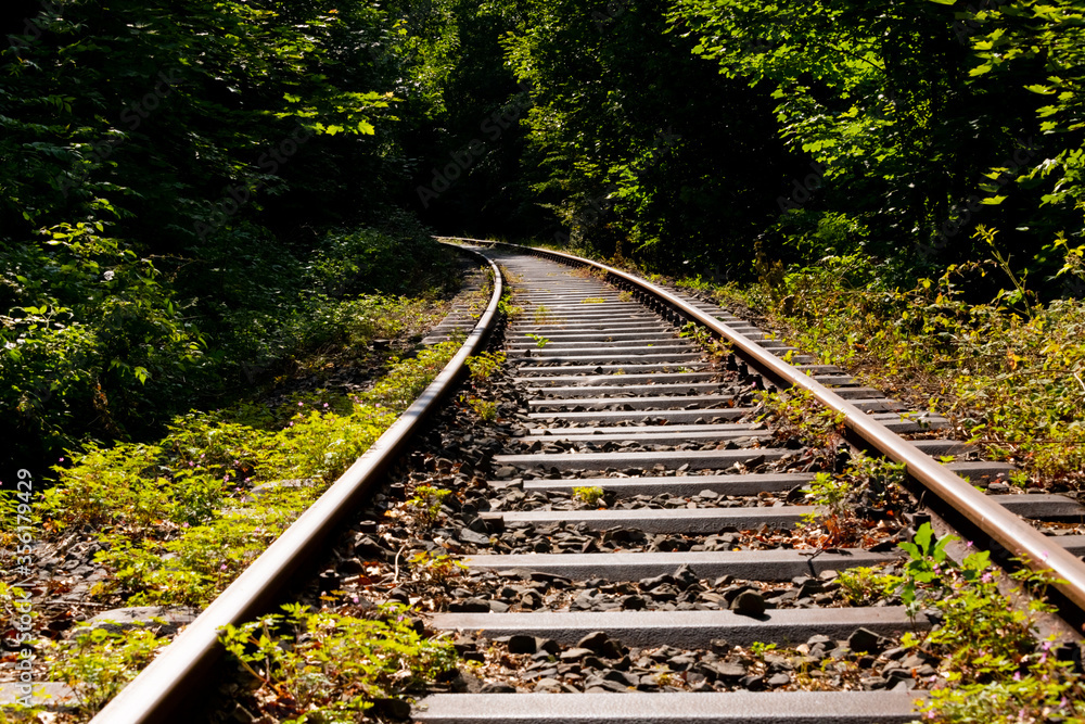 Obraz premium Eisenbahn Kurve Gleis Bogen Schienen Strecke Schleifkottenbahn Draisinen Halver Oberbrügge Sauerland Wald Natur Landschaft grün Deutschland stillgelegt Wuppertalbahn Schwellen Unkraut Vegetation