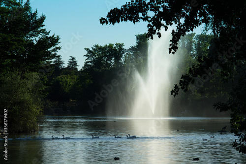 krajobraz park zieleń woda natura fontanna © Piotr