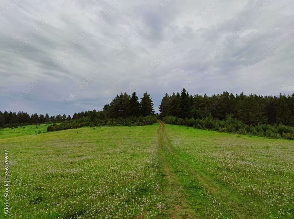 country road to the forest through a field with green grass and white dandelions against a dark cloudy sky before the rain country road to the forest through a field with green grass and white dandelions against a dark cloudy sky before the rain