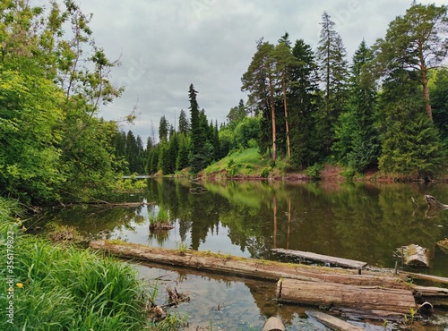 forest shore of the lake in the city with logs and boards in the water against a gray cloudy sky