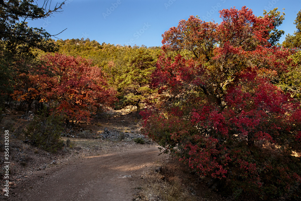 Naklejka premium Otoño en Albarracín