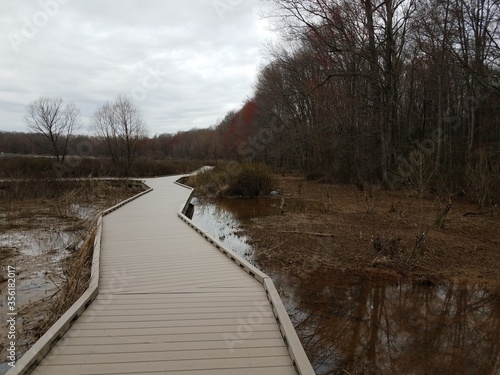 boardwalk in wetland with trees and heron © Justin
