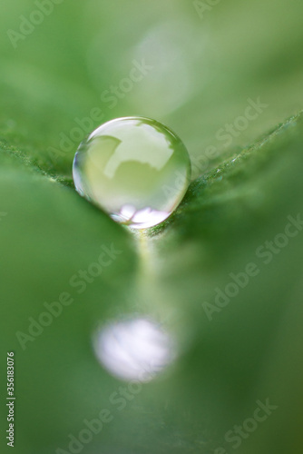 Macro of a dew drop on a green leaf