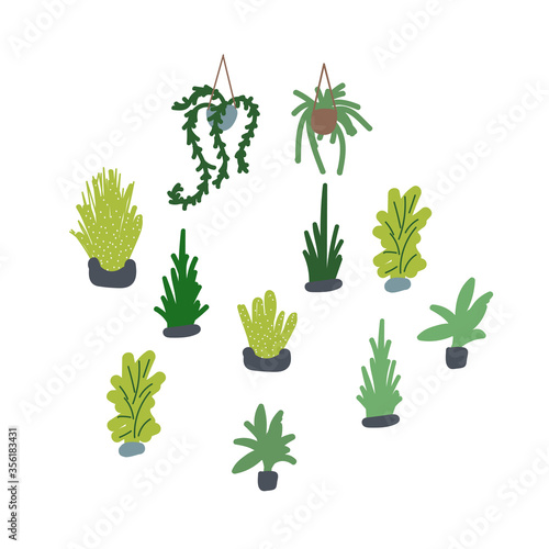 Houseplants vector illustration set. Succulents and greenery handdrawn plants.