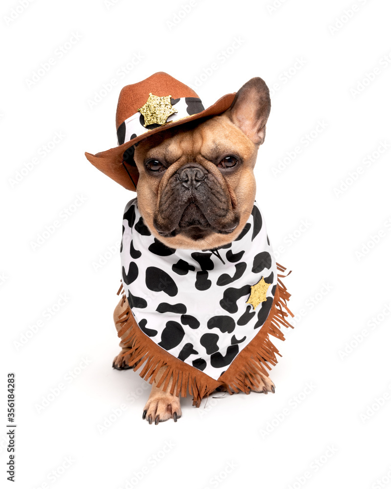 Sheriff Bulldog