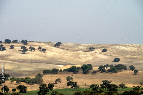 View of the fields and countryside over Embalse de Guadalcacin, Andalucia, Spain