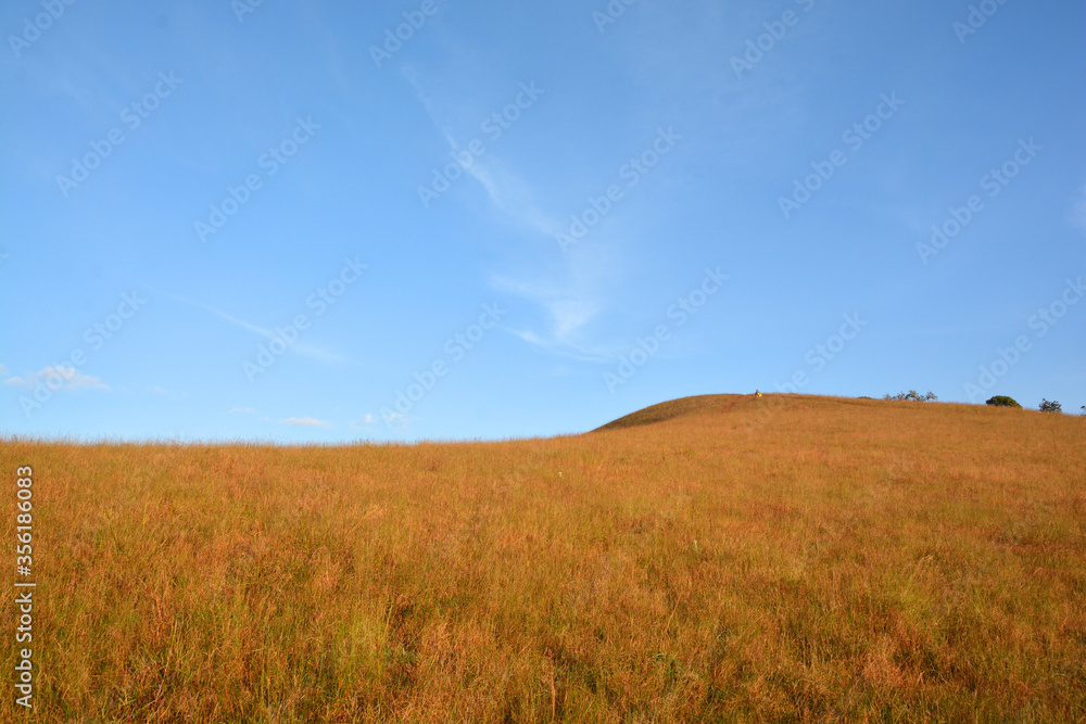 mountains brown grass and blue sky landscape mountains brown grass and blue sky landscape