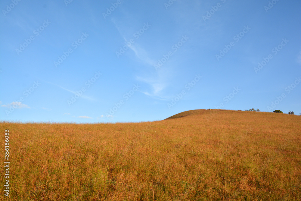 mountains brown grass and blue sky landscape