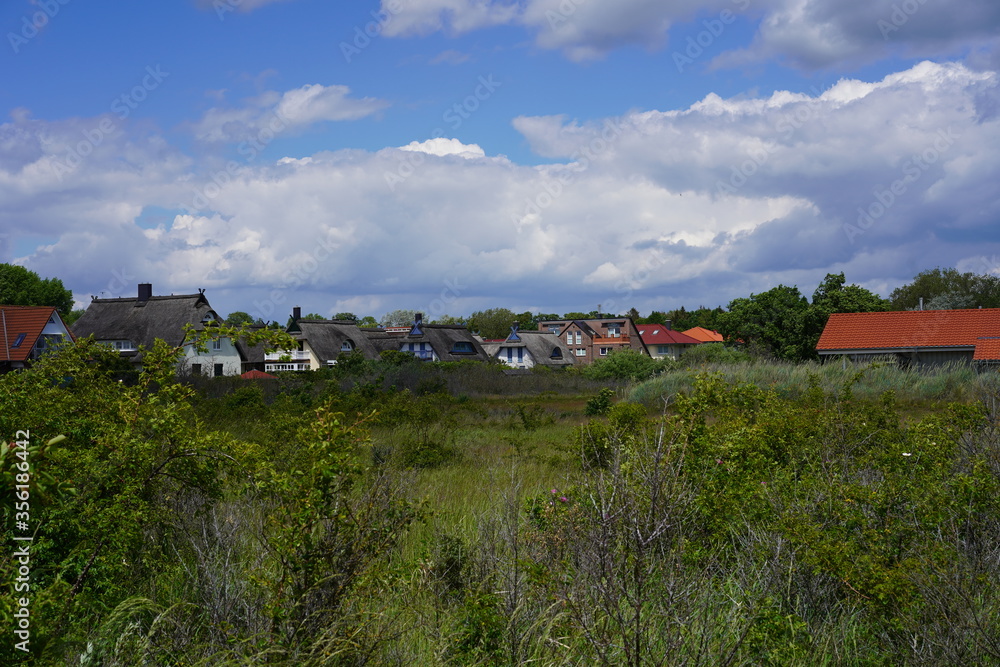 Fototapeta premium Ostseelandschaft mit Reethäusern