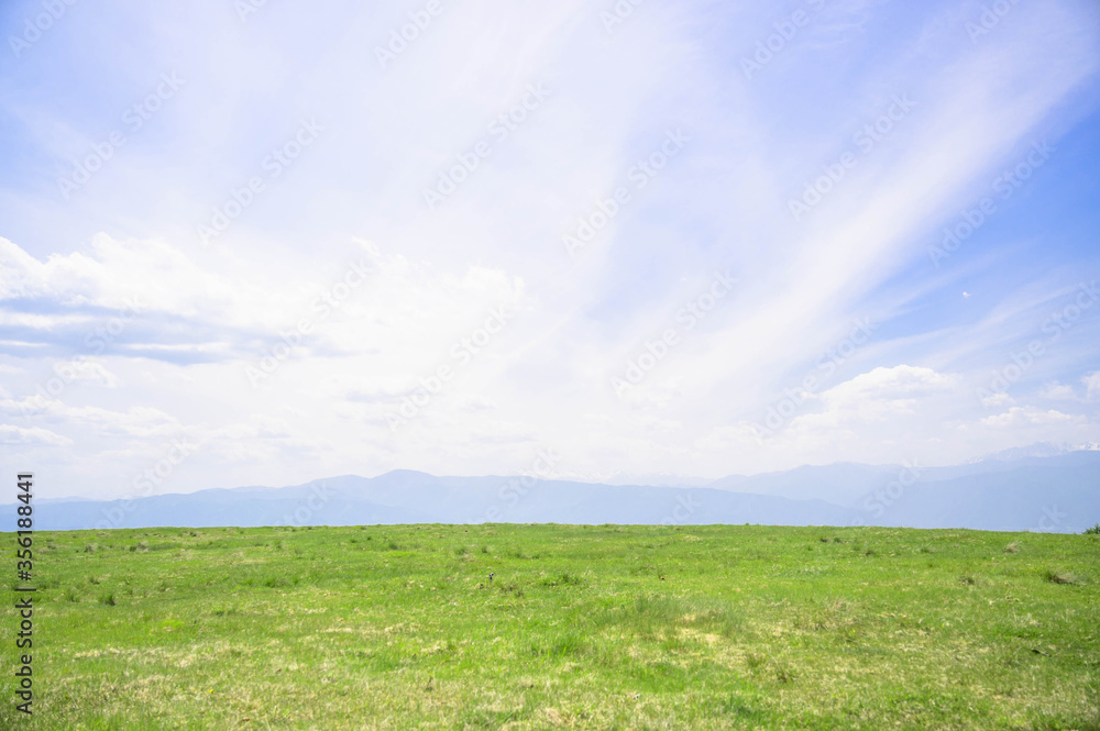 高ボッチ高原　牧場の草原と空