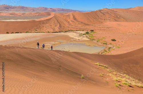 People walking on beautiful dune of Namib desert, traveling and hiking in South Africa  © Iuliia Sokolovska