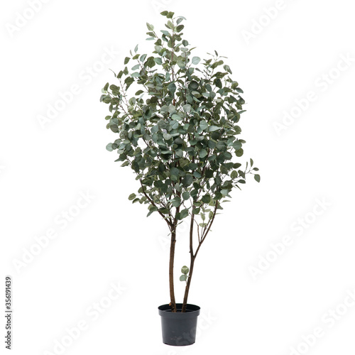 Artificial eucaliptus tree like real as modern evergreen ecological decoration for interiors of house, malls, restaurants. isolated on white background for design collage