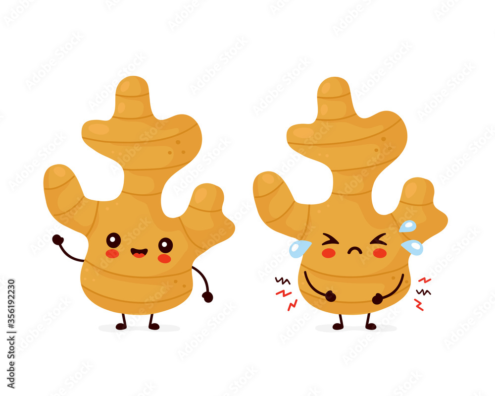 Fototapeta premium Cute happy and sad funny ginger root