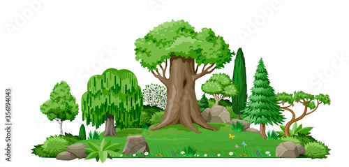 Hill in the park with grass bushes and trees.