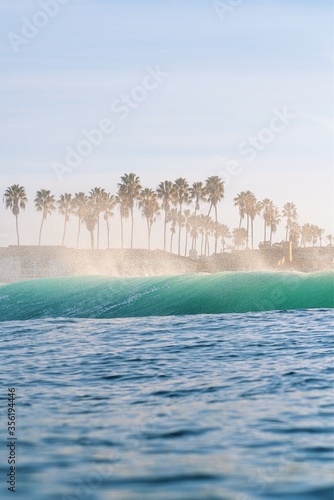 Palm trees in background with wave crashing onto shore