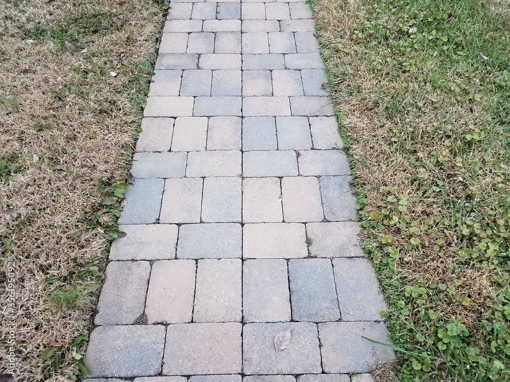 grey stone tiles path with brown and green grass
