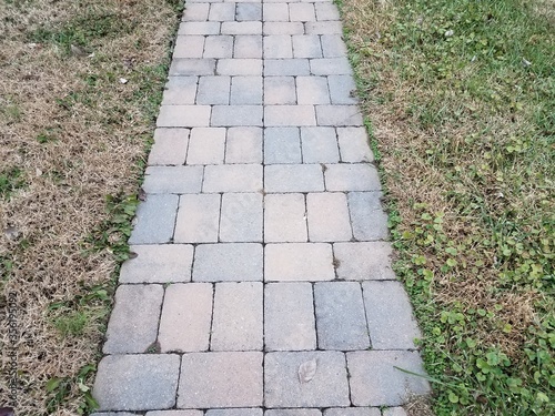 grey stone tiles path with brown and green grass