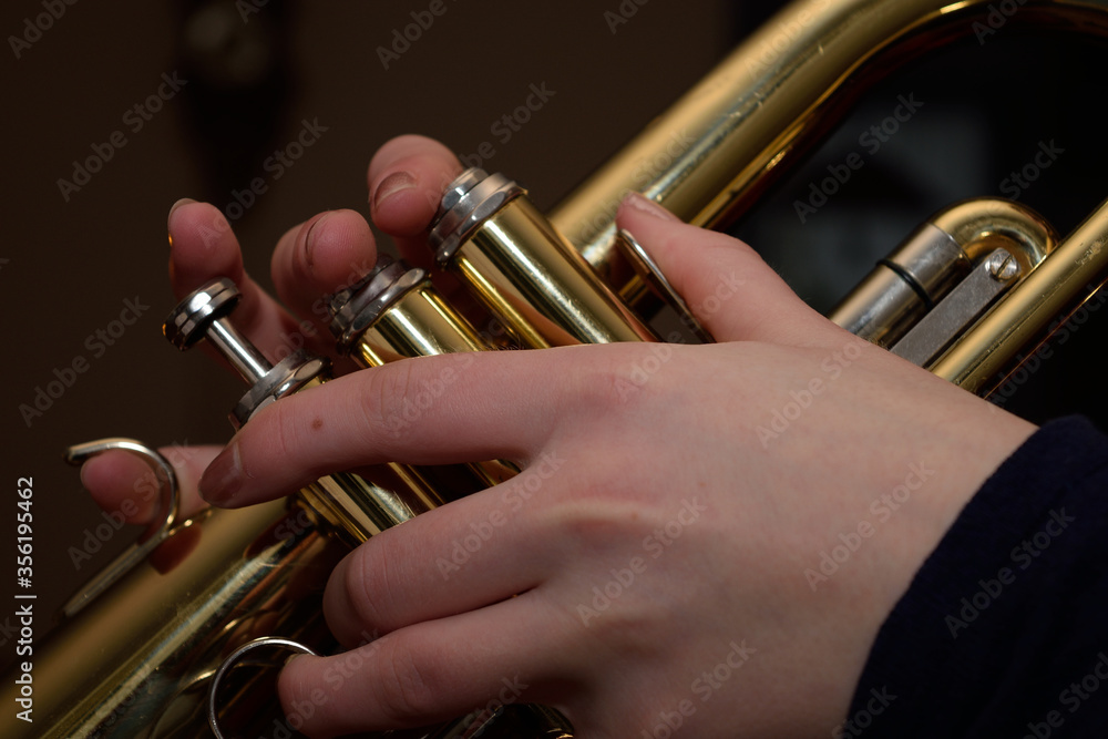 Obraz premium hands of a flugelhorn player