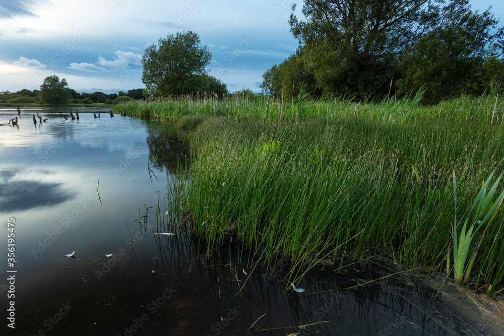 Obraz premium View over Arcot Pond, Cramlington, Northumberland, England, UK. In blue evening light with clouds overhead.