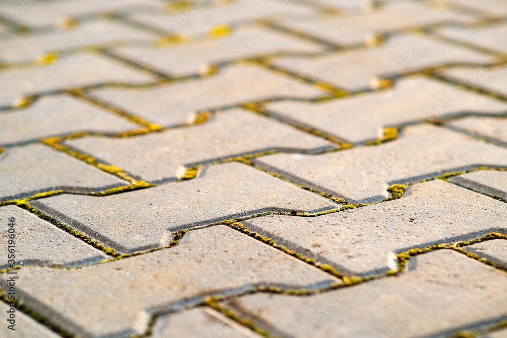 Obraz premium Closeup detail of gray concrete yard pavement slabs.