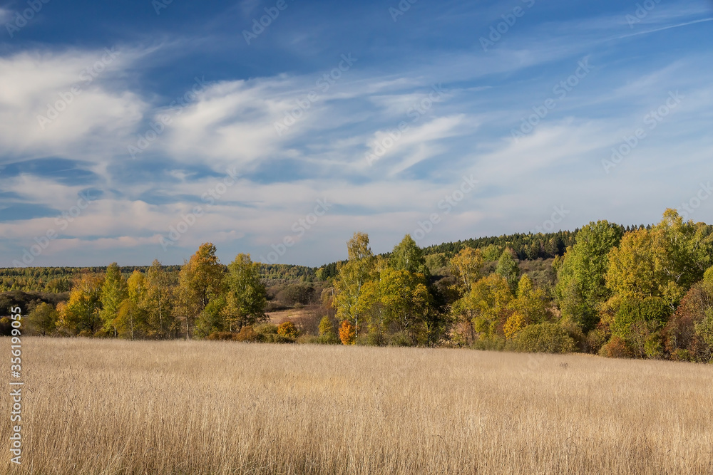 Autumn landscape. Field and forest.blue sky with clouds Autumn landscape. Field and forest.blue sky with clouds