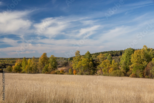 Autumn landscape. Field and forest.blue sky with clouds