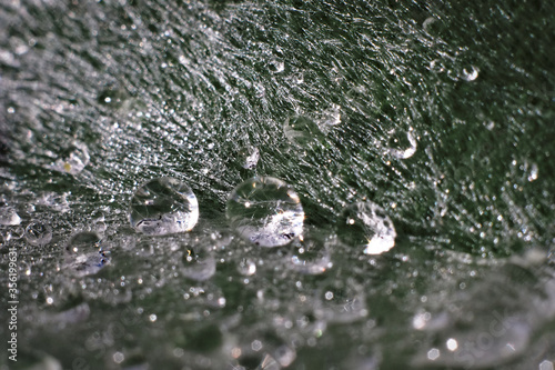 Water drops on a leaf.