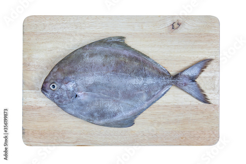 Black pomfret fish on a chopping block and topview food ingredients