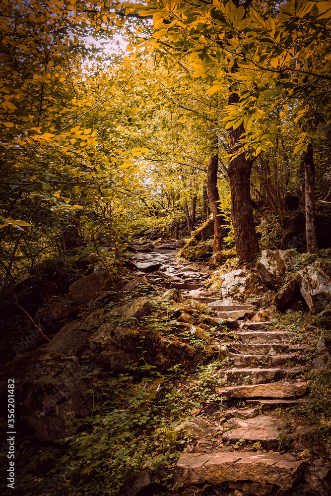 Obraz premium Beautiful natural stone stairs in the forest with orange and yellow tones typical of autumn.