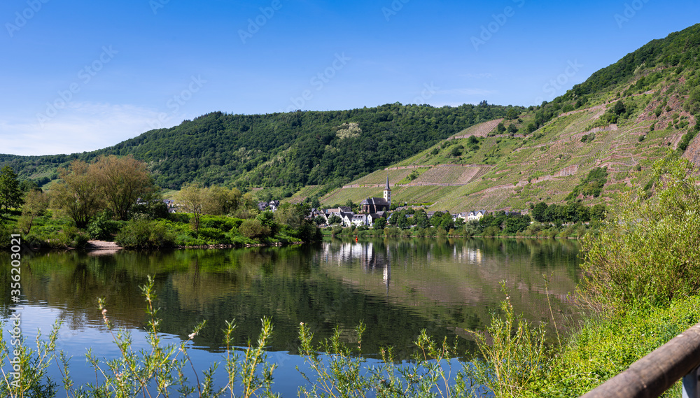 With the bike on the cycle path through the countryside along the river Moselle in Rhineland-Palatinate from Trier to Koblenz in summer With the bike on the cycle path through the countryside along the river Moselle in Rhineland-Palatinate from Trier to Koblenz in summer