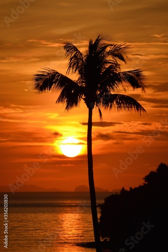 A mesmerizing sunrise with the sun over the sea and a palm tree in the foreground, intense and bright colours