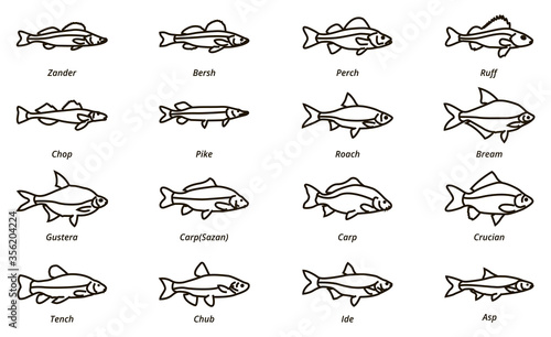 Fish linear icon. River fishing fish.