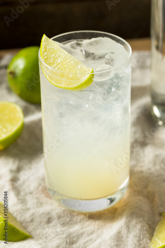 Boozy Alcoholic Lime Gin Rickey Cocktail