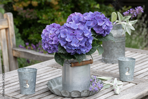 vintage Gartendekoration mit Hortensie in Blau und Windlicht