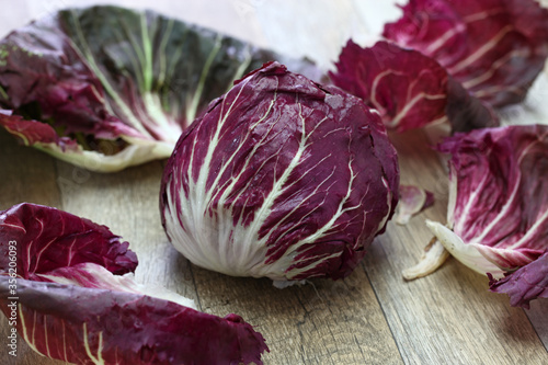 Bild auf Leinwand radicchio chioggia, italian fresh vegetable