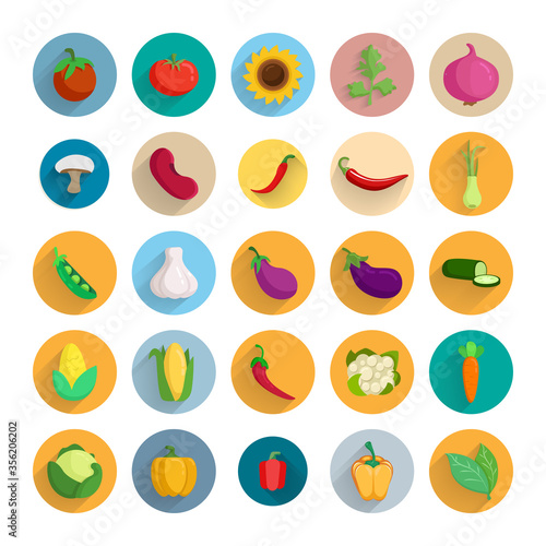 vegetables set with long shadow cucumber, garlic, bay leaves, eggplant, green peas, bell pepper, chili pepper, onion, parsley, tomato