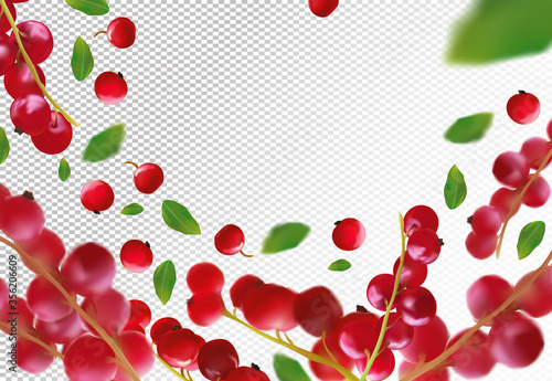 Realistic red currant berry on transparent background. Motion freshly picked red currant with green leaf.Red currant berry background. Natural product. 3d vector illustration