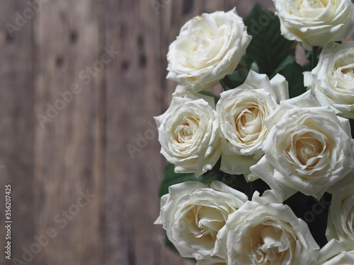 Floral card. Beautiful white rose on a wooden background.
