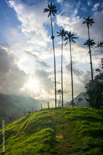 Sendero con palmeras y puesta de sol en Valle de Cocora, Colombia