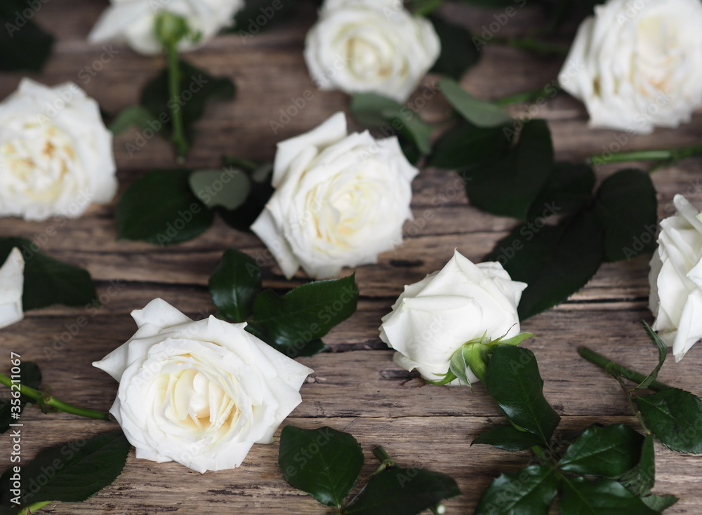 Floral card. Beautiful white rose on a wooden background. Floral card. Beautiful white rose on a wooden background.