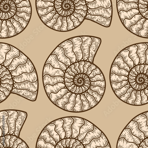Nautilus cephalopods seamless pattern beige color. Sketch scratch board imitation.