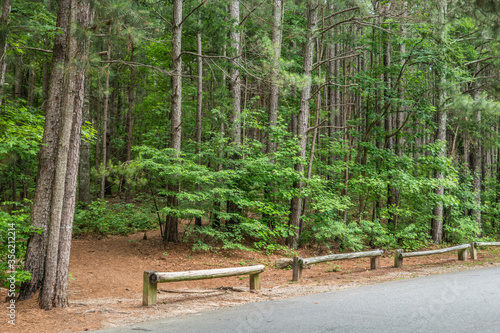 Trailhead parking lot in the forest