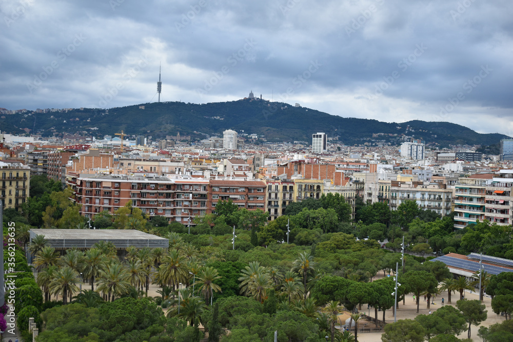 Park full of plants and trees in the center of the city of Barcelona photographed from above