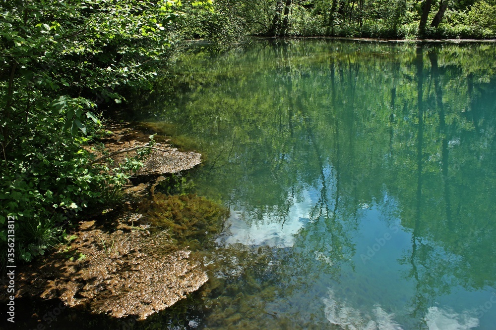Die Rhumequelle im Südharz.