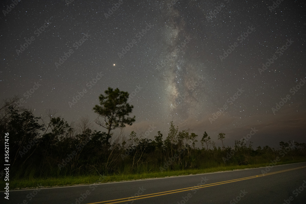 Naklejka premium Everglades Constellations