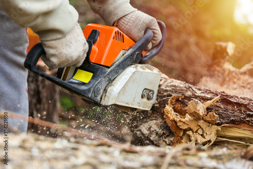 man's hands are holding sawing chainsaw close up. sawdust flying out of chainsaw