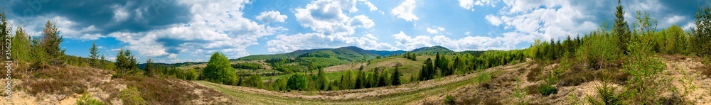 Beautiful rural summer landscape with forest, blue sky and white clouds, panorama. spring landscape with panoramic views of meadow and mountains