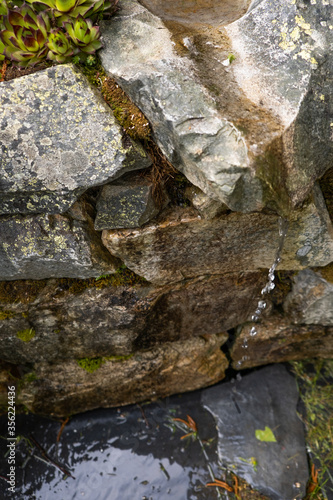 natural spring water source among stones