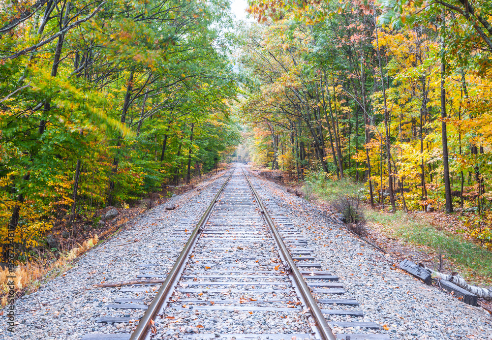 Fototapeta premium Railway lines through uatumn colored forest at Bears Notch on Kancamagus Highway