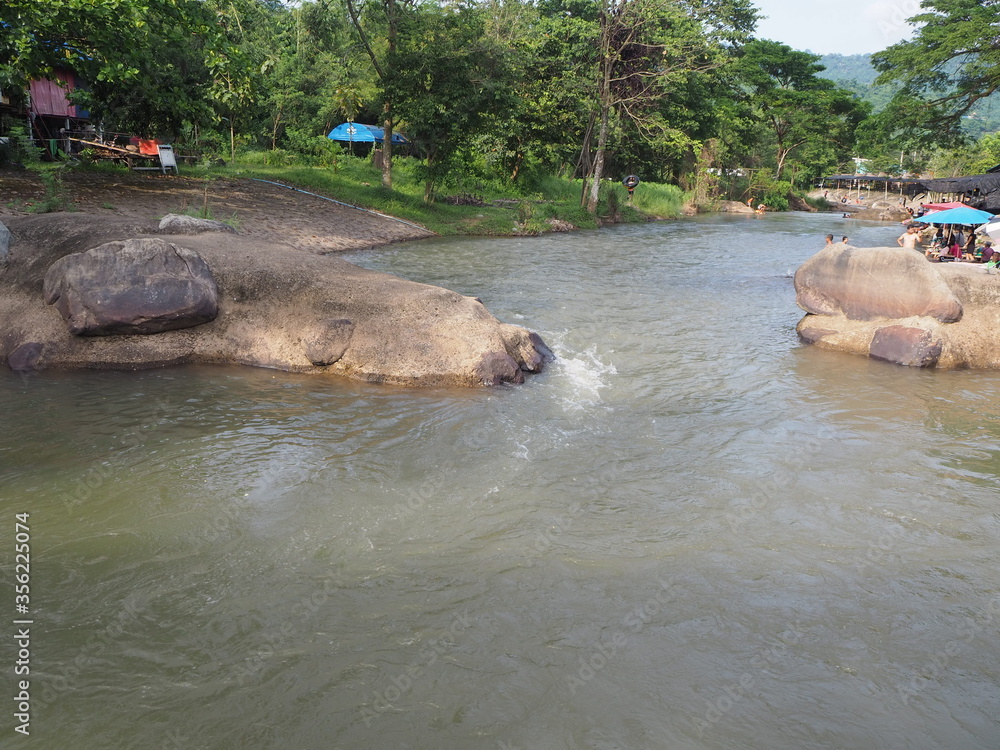 Fototapeta premium rzeka w dżungli
